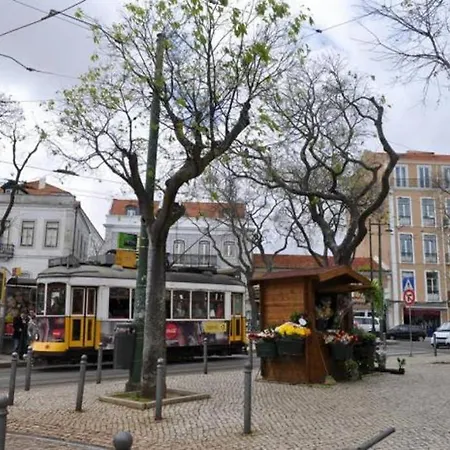 Typical In Midle Historic Center Lisbon